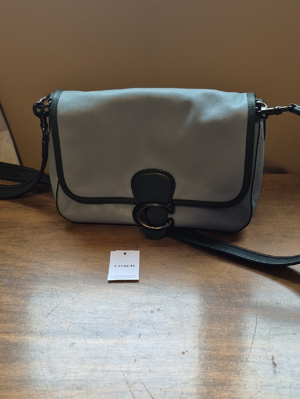 Coach Soft Tabby Shoulder Bag colorblock Sage multi